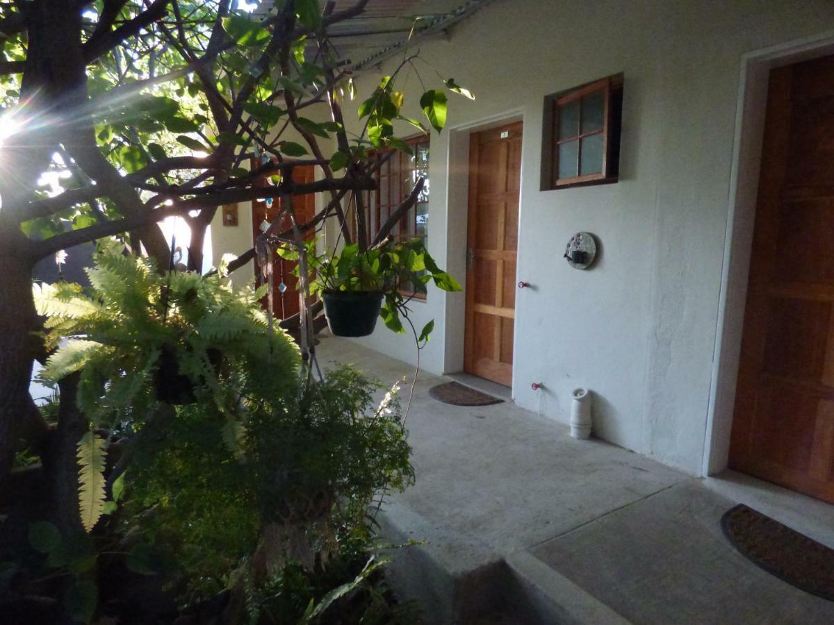 Hostel Tsumeb Backpackers&Safari Exterior foto